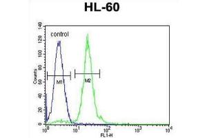 Flow Cytometry (FACS) image for anti-Carnitine Palmitoyltransferase 1C (CPT1C) antibody (ABIN2996207) (CPT1C Antikörper)