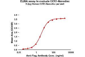Elisa plates were pre-coated with Flag Tag -Nanodisc (0. (CCR1 Protein)