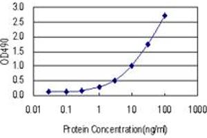 Sandwich ELISA detection sensitivity ranging from 0. (ATF1 (Human) Matched Antibody Pair)