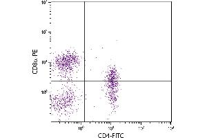 Porcine peripheral blood lymphocytes were stained with Mouse Anti-Porcine CD4-FITC. (CD4 Antikörper  (FITC))