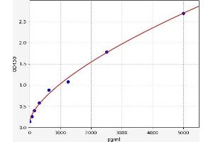 BDH1 ELISA Kit