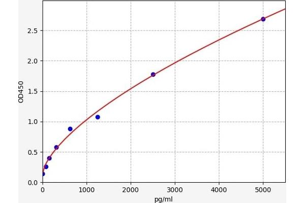 BDH1 ELISA Kit