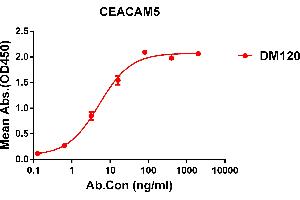 ELISA plate pre-coated by 1 μg/mL (100 μL/well) Human CEA protein, His tagged protein ABIN6961129, ABIN7042287 and ABIN7042288 can bind Rabbit anti-CEA monoclonal antibody  (clone: DM120) in a linear range of 0. (CEACAM5 Antikörper  (AA 35-685))