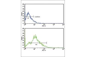 Flow Cytometry (FACS) image for anti-CD3g Molecule, gamma (CD3-TCR Complex) (CD3G) antibody (ABIN2998378) (CD3G Antikörper)