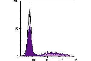 Rabbit peripheral blood lymphocytes were stained with Mouse Anti-Rabbit RLA-DR-FITC. (MHC Class II DR Antikörper (PE))