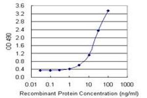 Sandwich ELISA detection sensitivity ranging from 1 ng/mL to 100 ng/mL. (CEACAM1 (Human) Matched Antibody Pair)