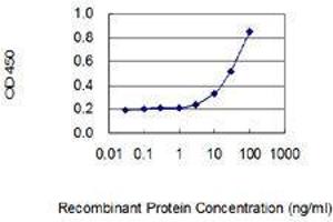 Detection limit for recombinant GST tagged TRPV4 is 1 ng/ml as a capture antibody. (TRPV4 Antikörper  (AA 772-871))