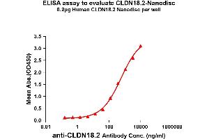 Elisa plates were added with Flag Tag C. (CLDN18.2 Protein)