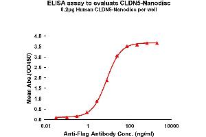 Elisa plates were pre-coated with Flag Tag C-Nanodisc (0. (Claudin 5 Protein (CLDN5))