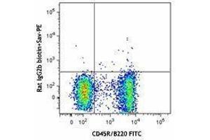 Flow Cytometry (FACS) image for anti-Chemokine (C-X-C Motif) Receptor 5 (CXCR5) antibody (Biotin) (ABIN2660751) (CXCR5 Antikörper  (Biotin))