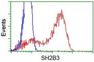 Flow Cytometry (FACS) image for anti-SH2B Adaptor Protein 3 (SH2B3) antibody (ABIN1500907) (SH2B3 Antikörper)