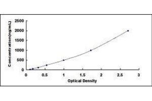 ELISA image for Haptoglobin (HP) ELISA Kit (ABIN424091) (Haptoglobin ELISA Kit)