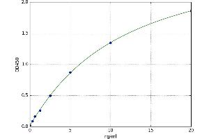 A typical standard curve (Cyclin D1 ELISA Kit)