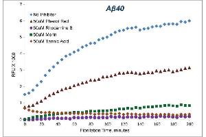 ELISA image for SensoLyte® Thioflavin T beta-Amyloid (1-40) Aggregation Kit (ABIN1882562) (SensoLyte® Thioflavin T beta-Amyloid (1-40) Aggregation Kit)