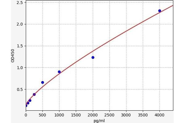 ACPP ELISA Kit