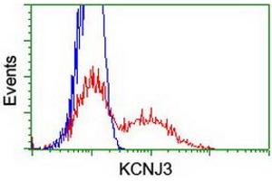 Flow Cytometry (FACS) image for anti-Potassium Inwardly-Rectifying Channel, Subfamily J, Member 3 (KCNJ3) (AA 279-501) antibody (ABIN1491313) (KCNJ3 Antikörper  (AA 279-501))