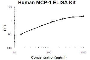 ELISA image for Chemokine (C-C Motif) Ligand 2 (CCL2) ELISA Kit (ABIN6720336)