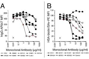 Flow Cytometry (FACS) image for anti-neonatal Fc Receptor (FcRn) antibody (ABIN1774762)