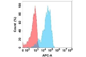 Flow cytometry analysis with Anti-AP on Expi293 cells transfected with human AP (Blue histogram) or Expi293 transfected with irrelevant protein (Red histogram). (APCDD1 Antikörper)