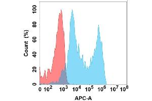 Flow cytometry analysis with Anti-B7H5 on Expi293 cells transfected with human B7H5 (Blue histogram) or Expi293 transfected with irrelevant protein (Red histogram). (VTCN1 Antikörper)