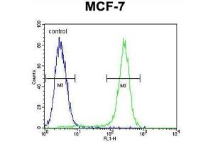 C1QL4 Antibody (N-term) flow cytometric analysis of MCF-7 cells (right histogram) compared to a negative control cell (left histogram). (C1QL4 Antikörper  (N-Term))