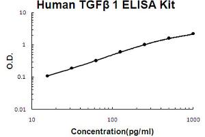 ELISA image for Transforming Growth Factor, beta 1 (TGFB1) ELISA Kit (ABIN6719785)