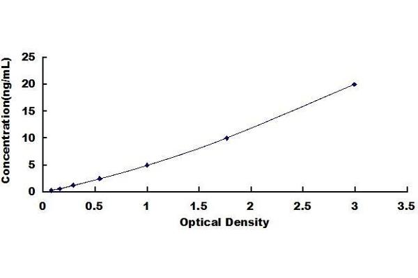 RTN4R ELISA Kit