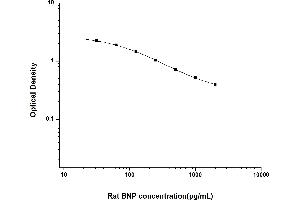 BNP ELISA Kit