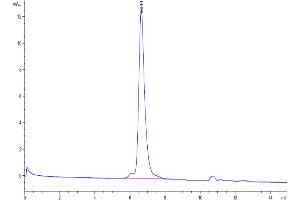 Size-exclusion chromatography-High Pressure Liquid Chromatography (SEC-HPLC) image for Fibroblast Growth Factor 21 (FGF21) protein (mFc-Avi Tag) (ABIN7274635)