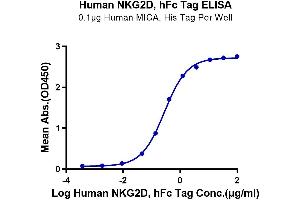 ELISA image for Killer Cell Lectin-Like Receptor Subfamily K, Member 1 (KLRK1) (AA 78-216) protein (Fc-DYKDDDDK Tag) (ABIN7275337)