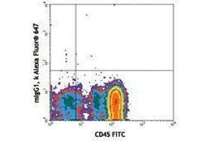 Flow Cytometry (FACS) image for anti-CD34 (CD34) antibody (Alexa Fluor 647) (ABIN2657762) (CD34 Antikörper  (Alexa Fluor 647))