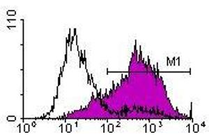 Image no. 1 for anti-Interleukin 2 Receptor, alpha (IL2RA) antibody (ABIN135170) (CD25 Antikörper)