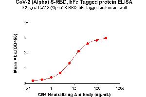 ELISA image for SARS-CoV-2 Spike (B.1.1.7 - alpha), (RBD) protein (Fc Tag) (ABIN7490638)