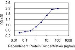 Sandwich ELISA detection sensitivity ranging from 0. (PNMA1 (Human) Matched Antibody Pair)