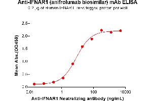 ELISA image for anti-IFNAR1 (Anifrolumab Biosimilar) antibody (ABIN7490965)