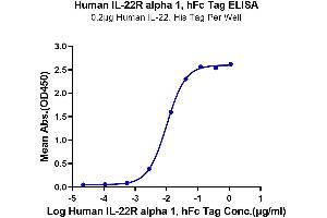 ELISA image for Interleukin 22 Receptor, alpha 1 (IL22RA1) (AA 16-228) protein (Fc Tag) (ABIN7275022)