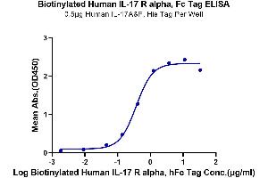 ELISA image for Interleukin 17 Receptor A (IL17RA) protein (Fc-Avi Tag,Biotin) (ABIN7274907)