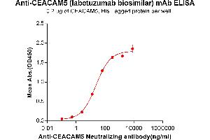 ELISA plate pre-coated by 2 μg/mL (100 μL/well) Human CEA, His tagged protein ABIN6961129, ABIN7042287 and ABIN7042288 can bind Anti-CEA Neutralizing antibody(ABIN7093054 and ABIN7272584) in a linear range of 2. (Rekombinanter CEACAM5 (Labetuzumab Biosimilar) Antikörper)