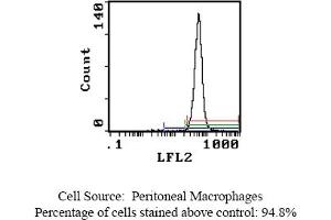 Mouse anti OX-43 Antigen OX-43 (Endothelium Antikörper)