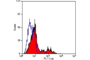 Staining of human peripheral blood lymphocytes with MOUSE ANTI HUMAN KIR (ABIN119851). (KIR2D Antikörper)