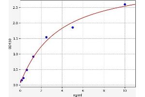 Typical standard curve (SIGLEC8 ELISA Kit)