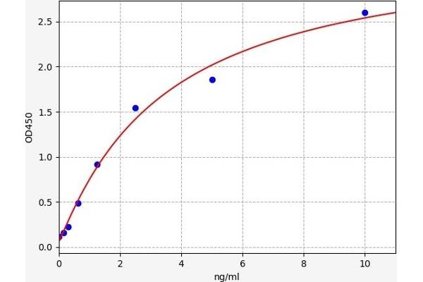 SIGLEC8 ELISA Kit