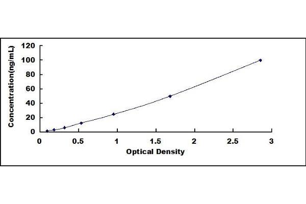 HSPA1L ELISA Kit