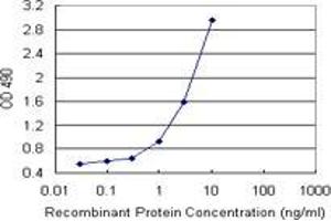 Sandwich ELISA detection sensitivity ranging from 0. (DCXR (Human) Matched Antibody Pair)