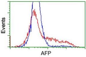 Image no. 1 for anti-alpha-Fetoprotein (AFP) antibody (ABIN1496486) (alpha Fetoprotein Antikörper)