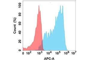 Flow cytometry analysis with Anti-C (DM208) on Expi293 cells transfected with human C (Blue histogram) or Expi293 transfected with irrelevant protein (Red histogram). (CXCR3 Antikörper)