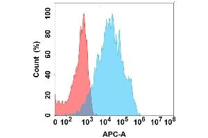 Flow cytometry analysis with Anti-PRLR on Expi293 cells transfected with human PRLR (Blue histogram) or Expi293 transfected with irrelevant protein (Red histogram). (Prolactin Receptor Antikörper)