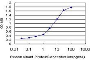 ELISA image for anti-Nucleolar and Coiled-Body Phosphoprotein 1 (NOLC1) (AA 590-700) antibody (ABIN598599) (NOLC1 Antikörper  (AA 590-700))