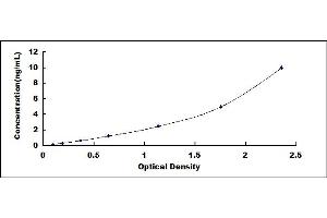 Typical standard curve (VNN1 ELISA Kit)