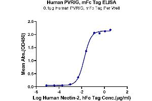 ELISA image for Poliovirus Receptor-Related Immunoglobulin Domain Containing (PVRIG) protein (mFc Tag) (ABIN7275506)